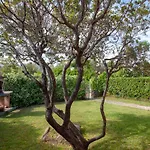 Canneto A12 Apartman *
