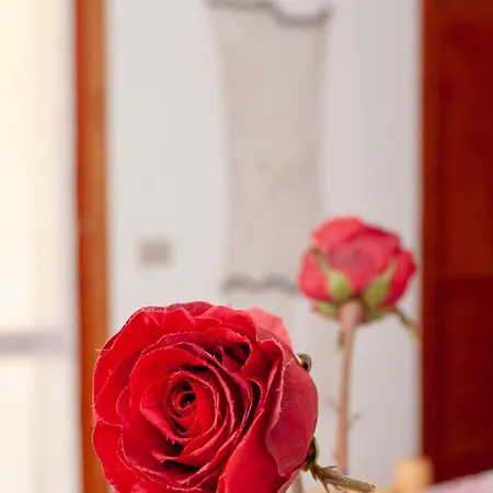 Canneto A12 公寓 *